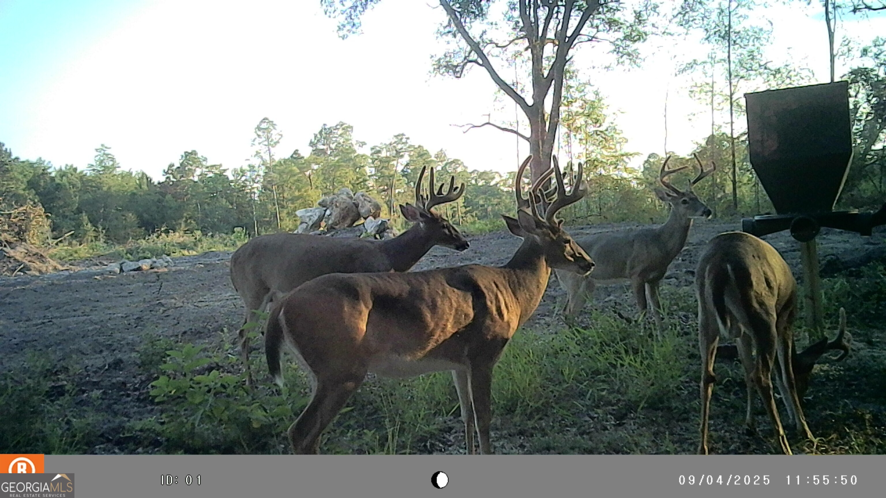 2430 Big Oak Road Damascus, GA 39841 - Photo 69 of 84