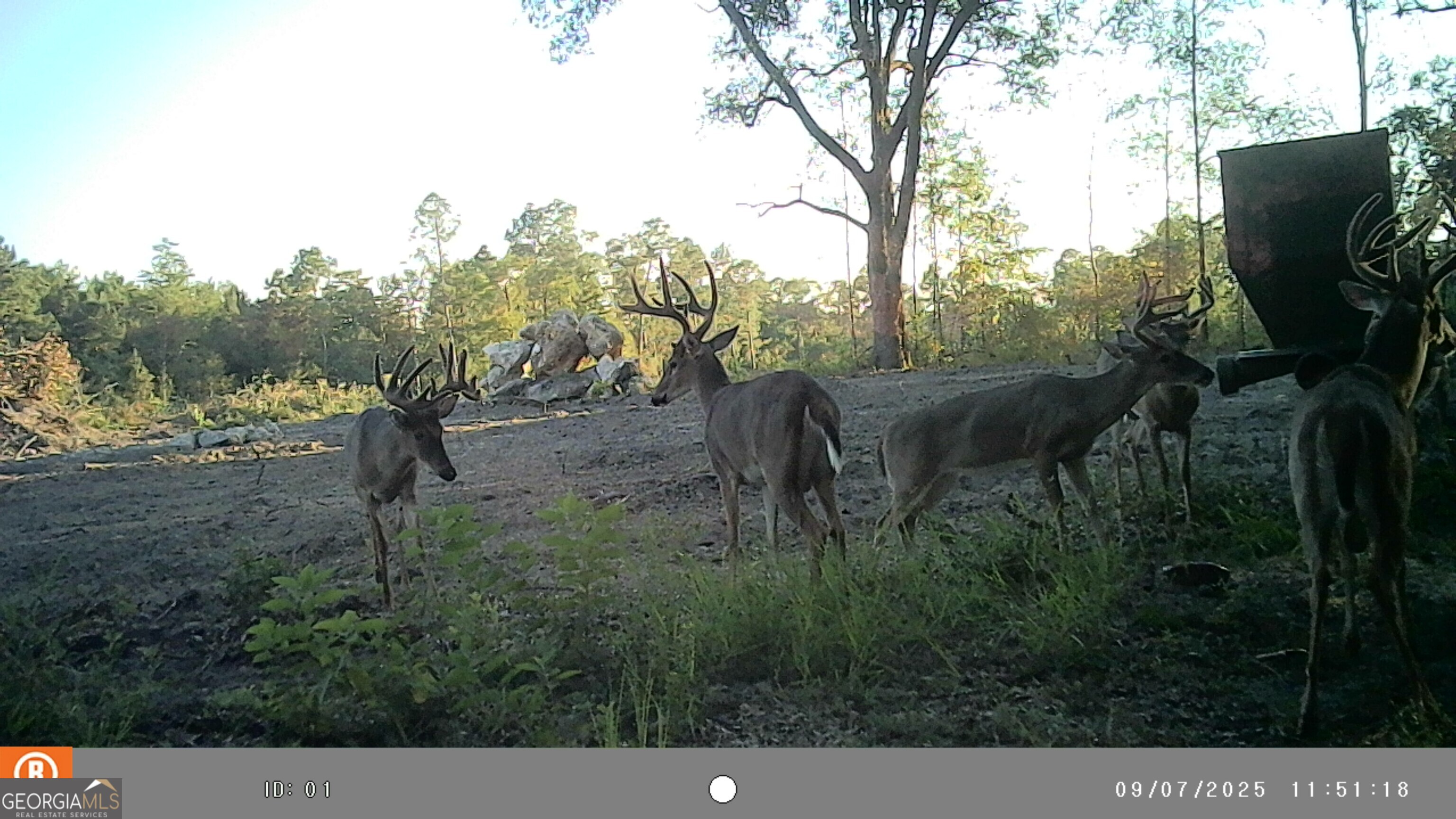 2430 Big Oak Road Damascus, GA 39841 - Photo 70 of 84