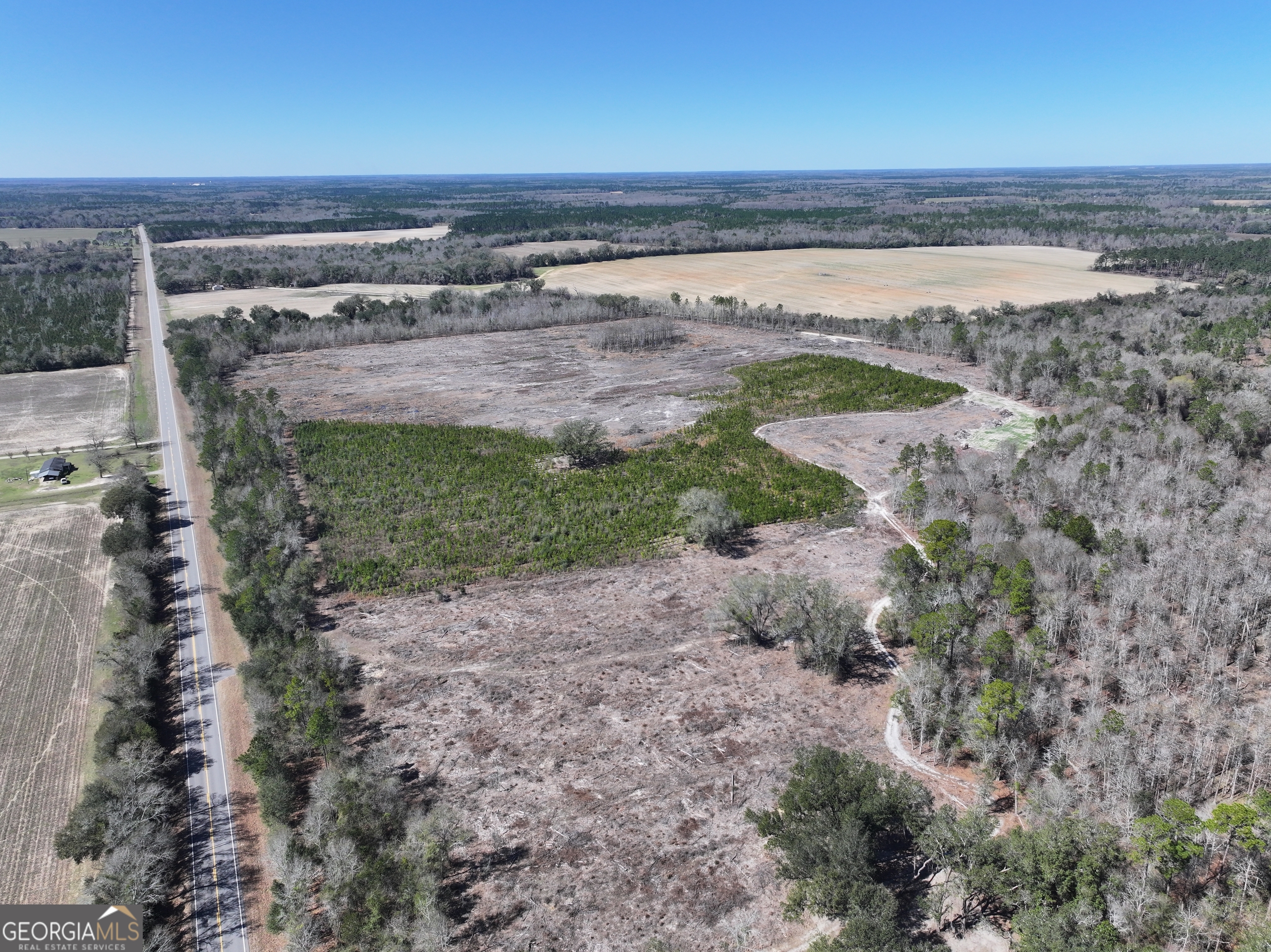 2430 Big Oak Road Damascus, GA 39841 - Photo 7 of 84