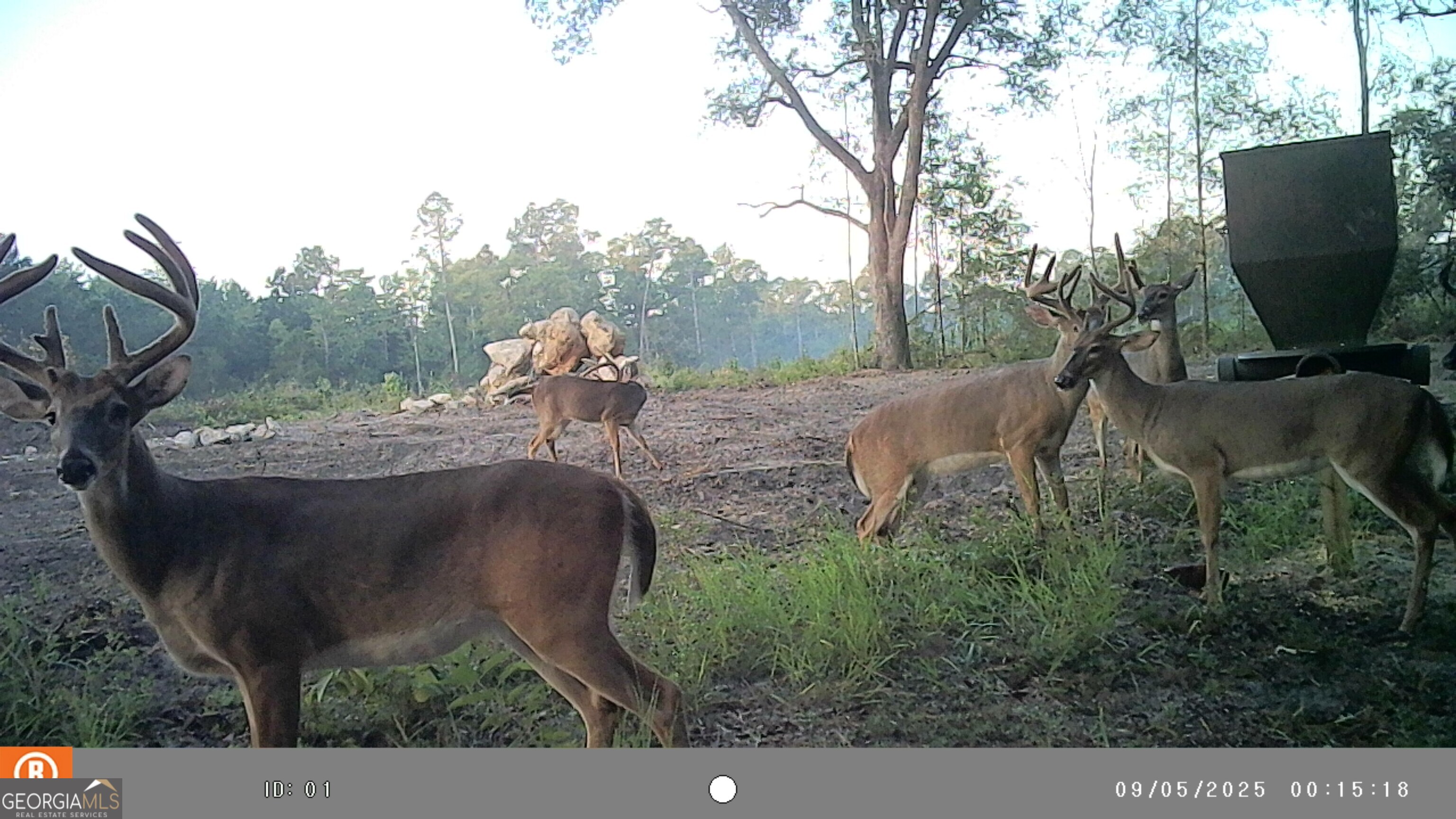 2430 Big Oak Road Damascus, GA 39841 - Photo 71 of 84