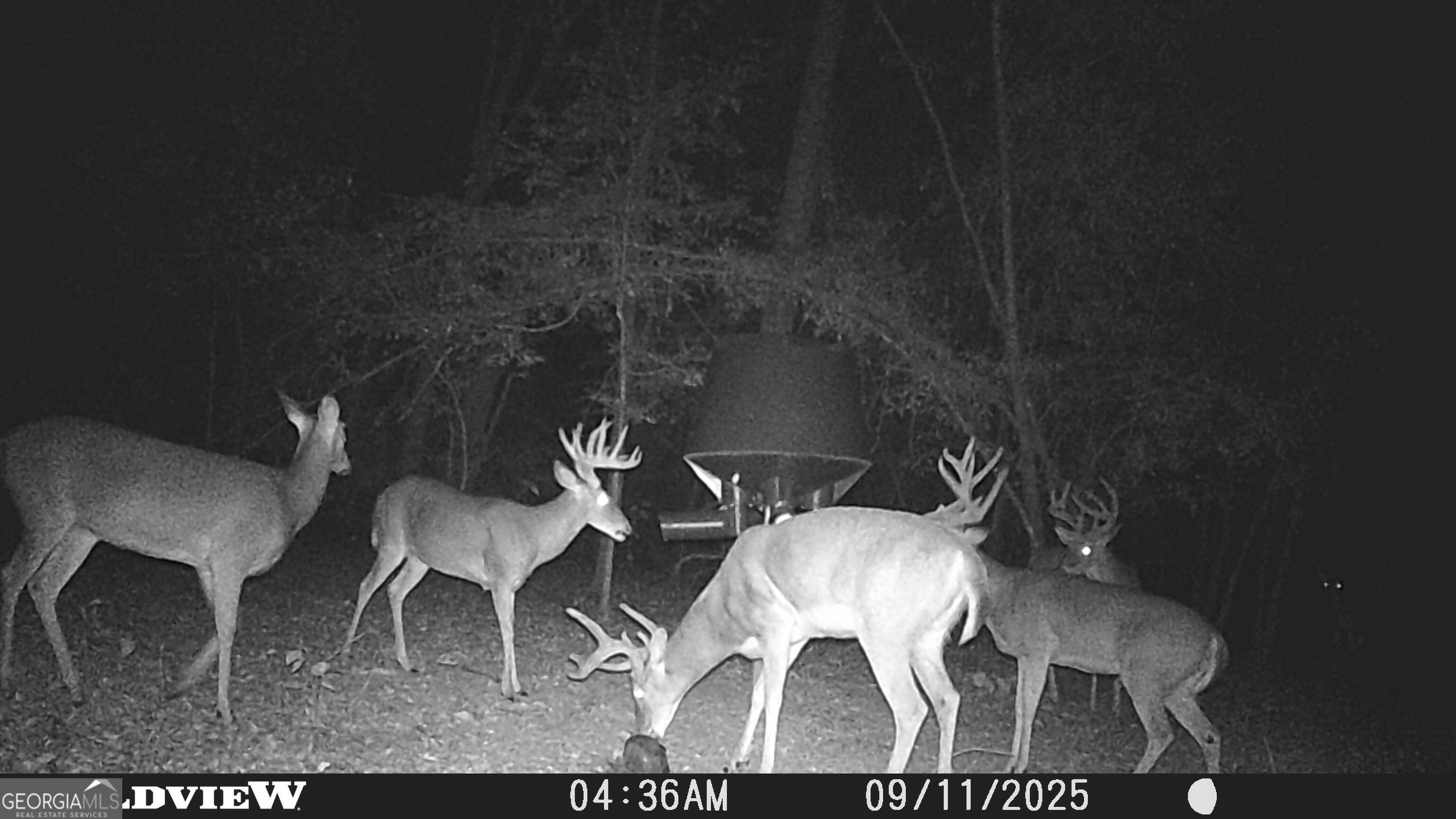 2430 Big Oak Road Damascus, GA 39841 - Photo 72 of 84