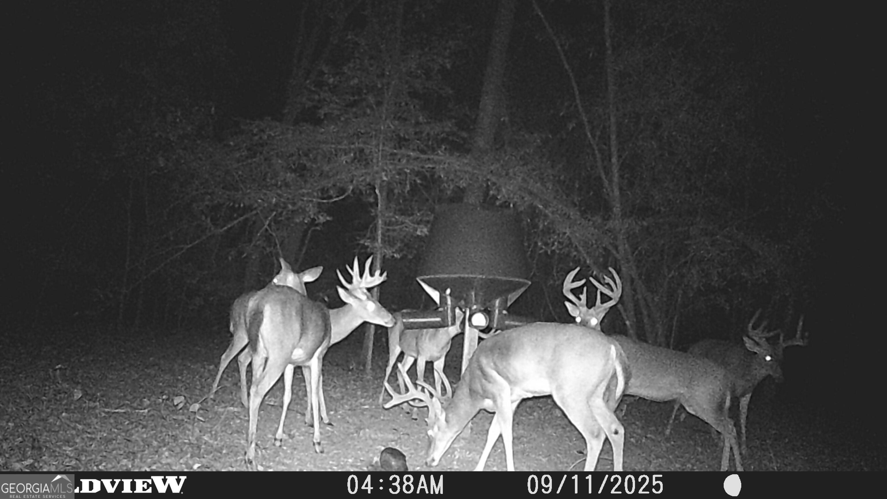 2430 Big Oak Road Damascus, GA 39841 - Photo 73 of 84