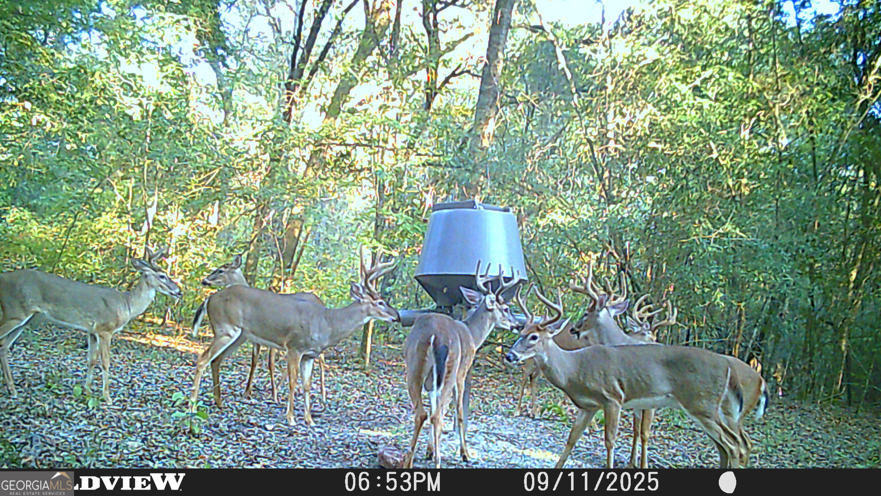 2430 Big Oak Road Damascus, GA 39841 - Photo 74 of 84