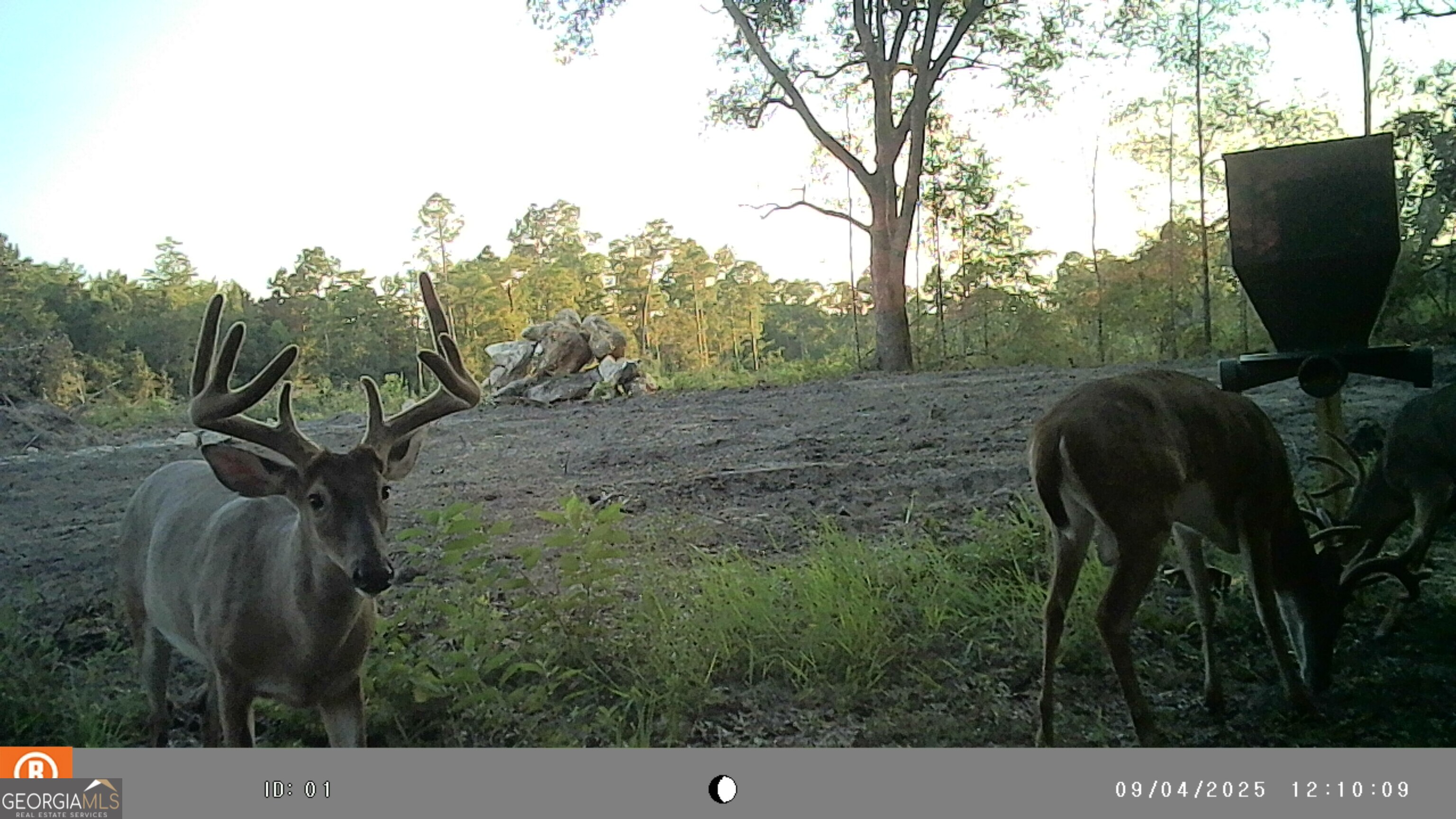 2430 Big Oak Road Damascus, GA 39841 - Photo 75 of 84