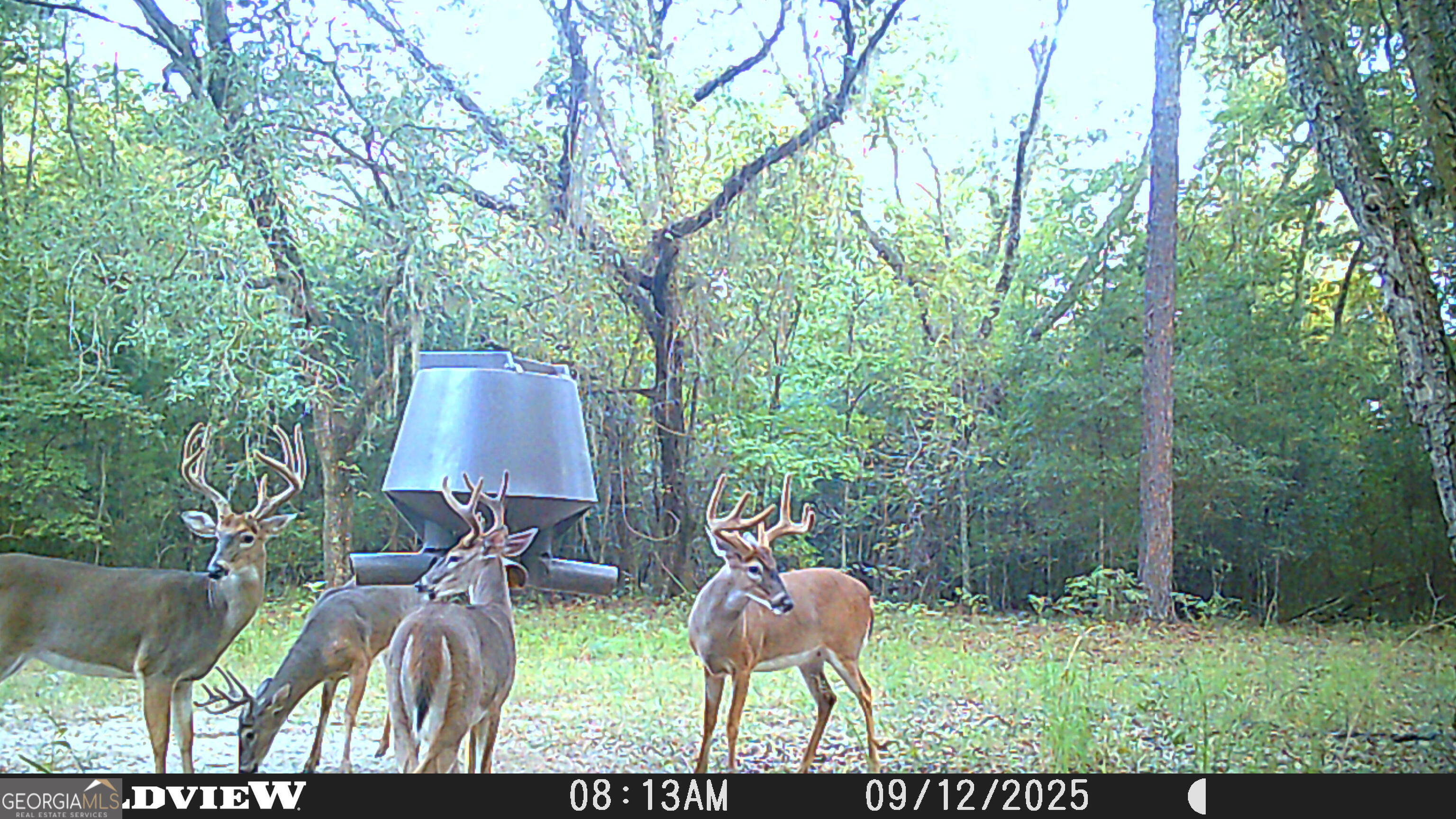 2430 Big Oak Road Damascus, GA 39841 - Photo 76 of 84