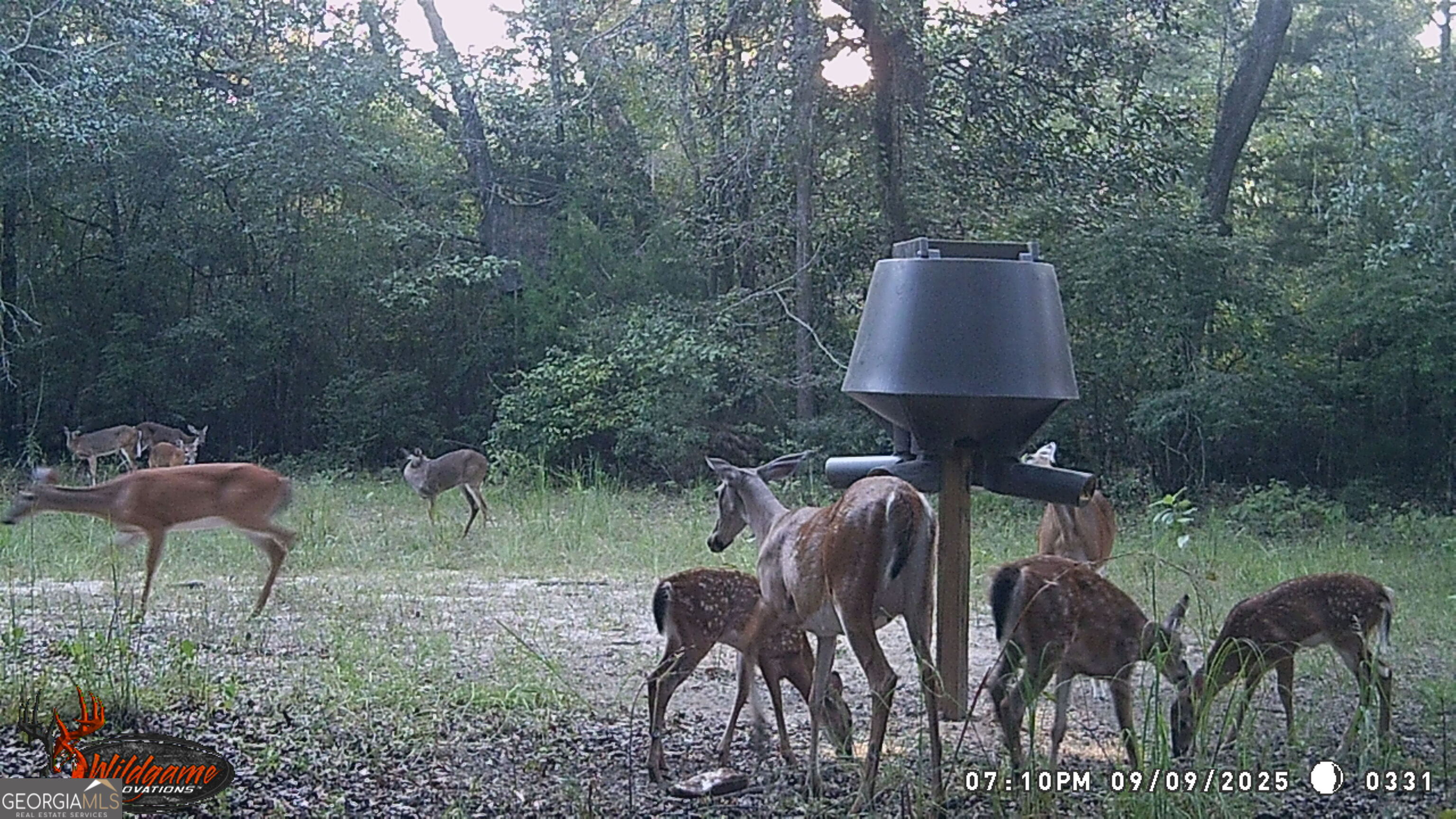 2430 Big Oak Road Damascus, GA 39841 - Photo 77 of 84