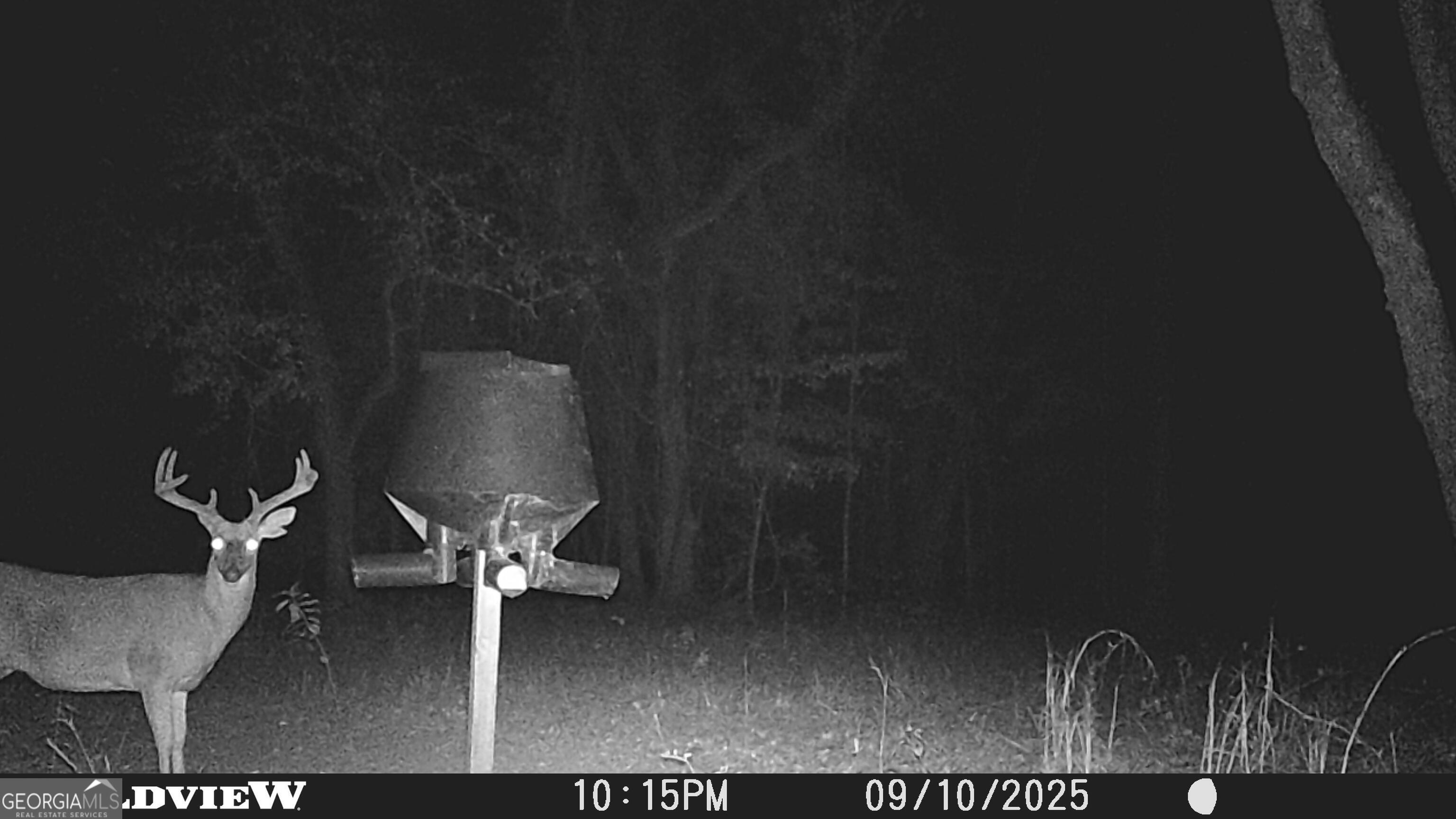 2430 Big Oak Road Damascus, GA 39841 - Photo 78 of 84