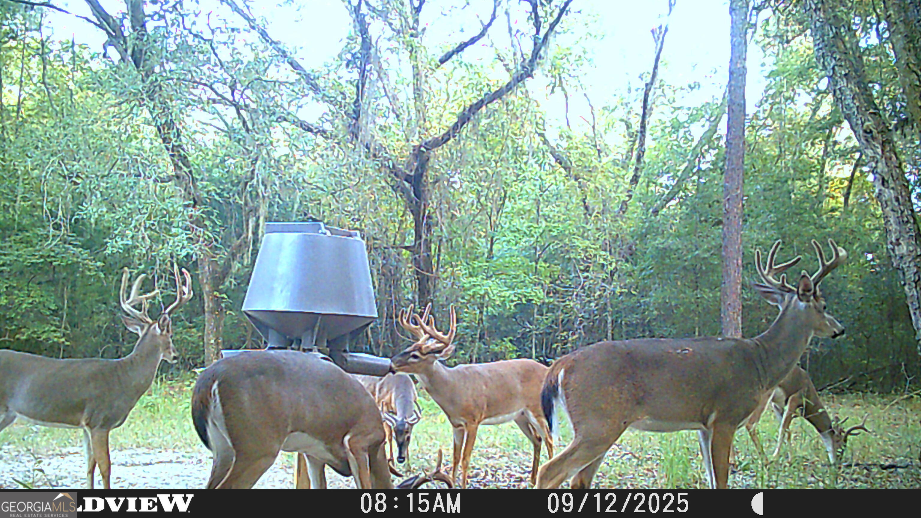 2430 Big Oak Road Damascus, GA 39841 - Photo 79 of 84