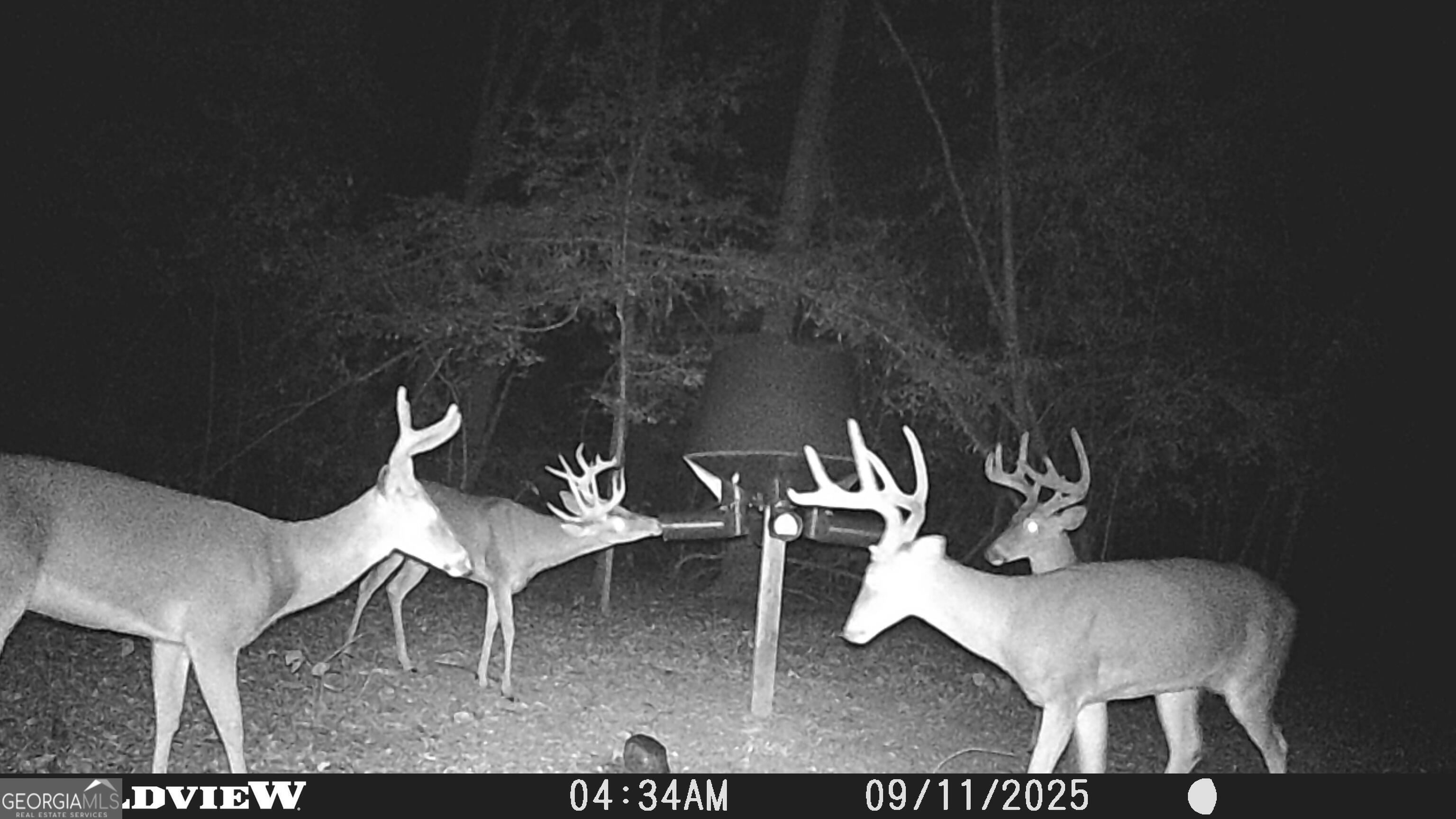 2430 Big Oak Road Damascus, GA 39841 - Photo 80 of 84