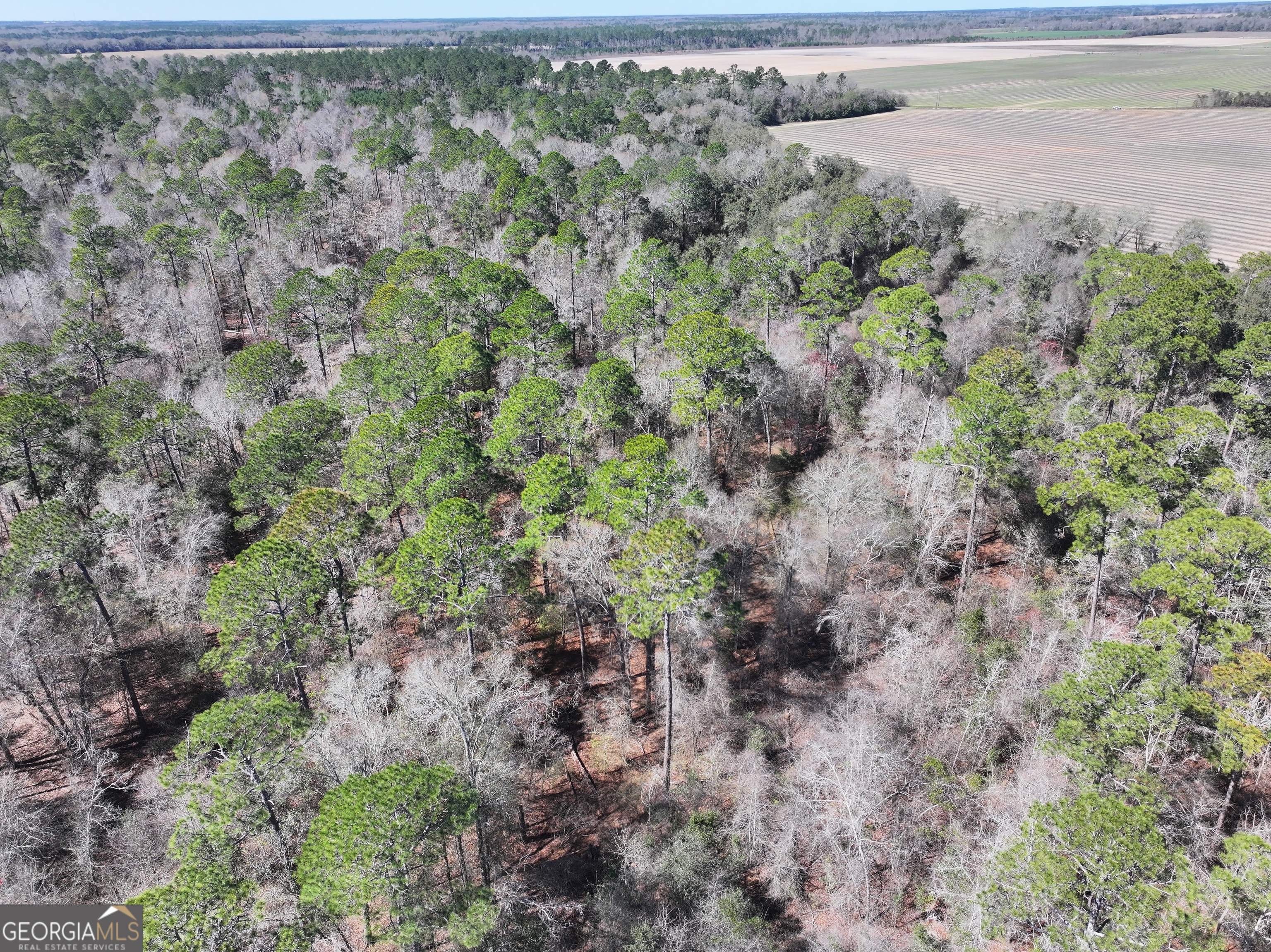 2430 Big Oak Road Damascus, GA 39841 - Photo 8 of 84