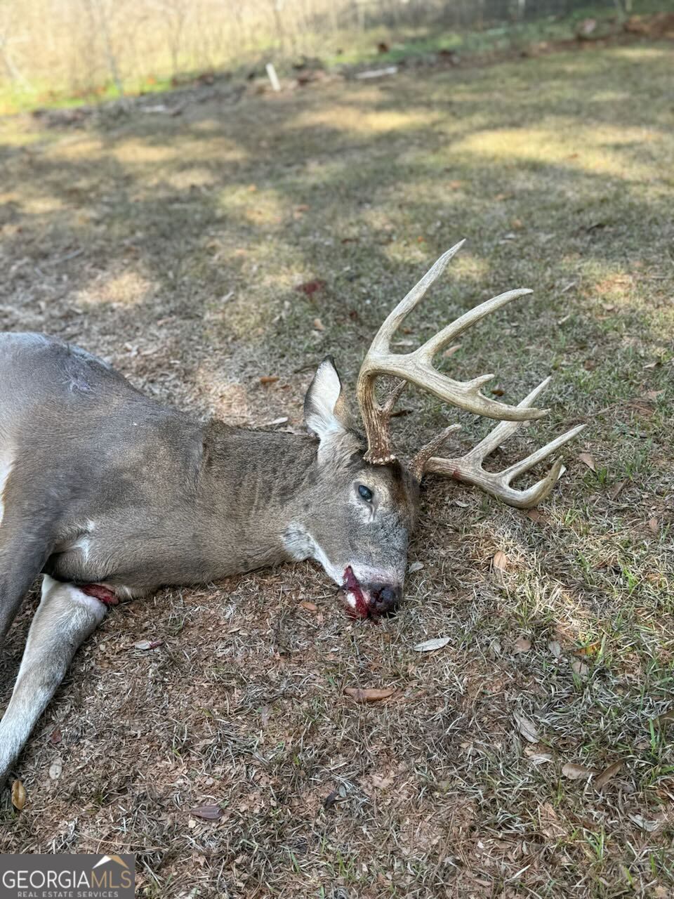 2430 Big Oak Road Damascus, GA 39841 - Photo 83 of 84