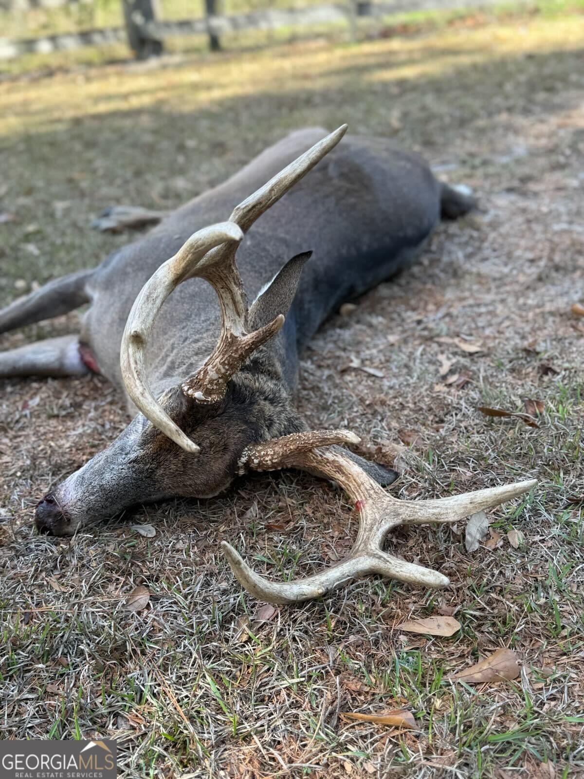 2430 Big Oak Road Damascus, GA 39841 - Photo 84 of 84