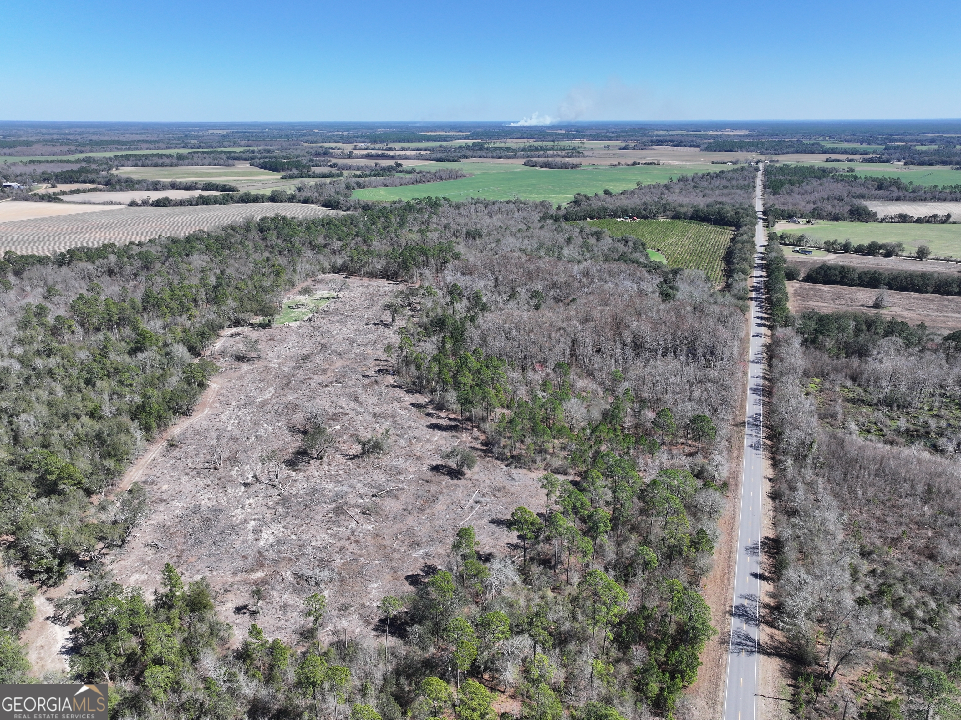 2430 Big Oak Road Damascus, GA 39841 - Photo 9 of 84