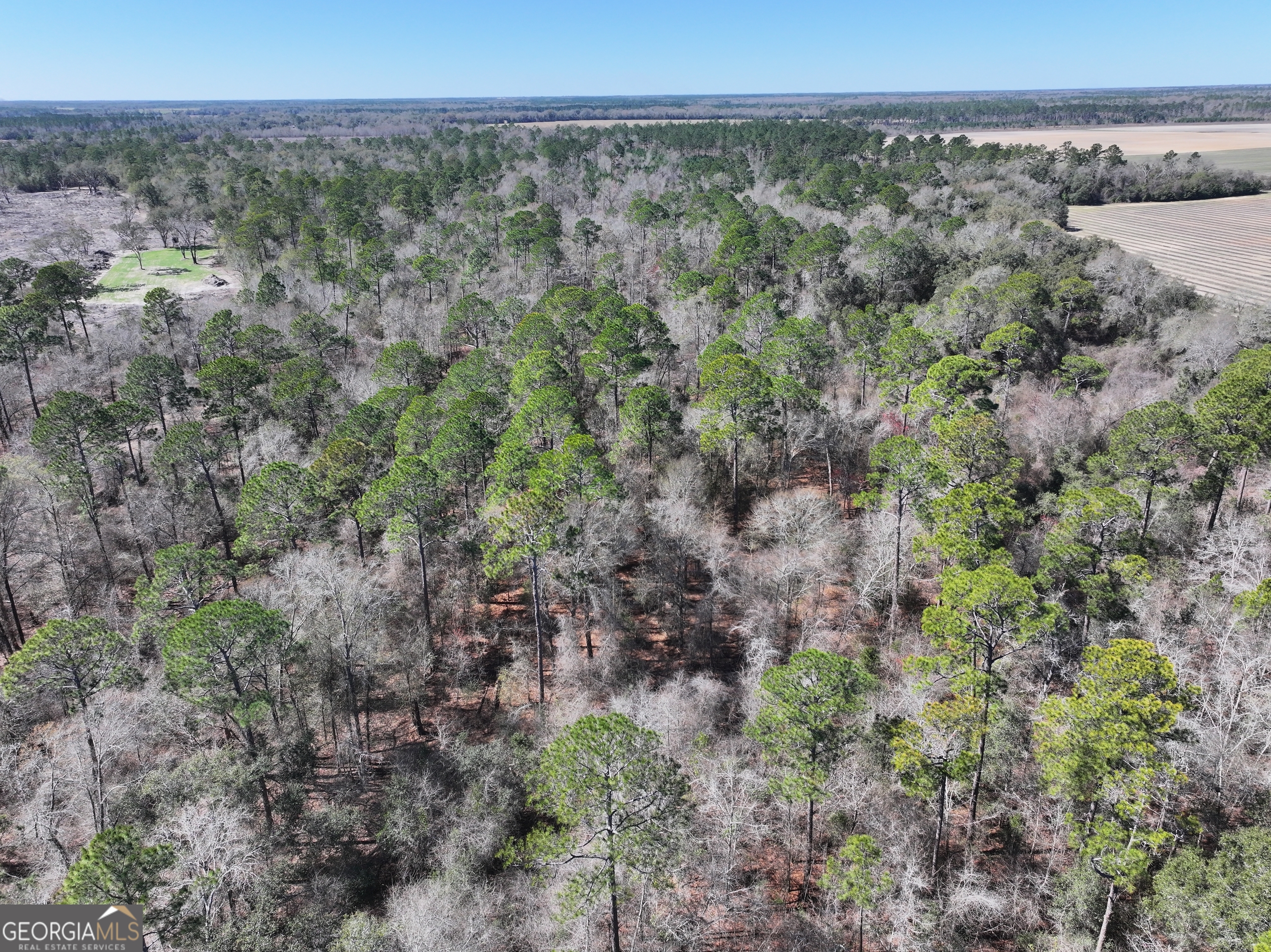 2430 Big Oak Road Damascus, GA 39841 - Photo 10 of 84