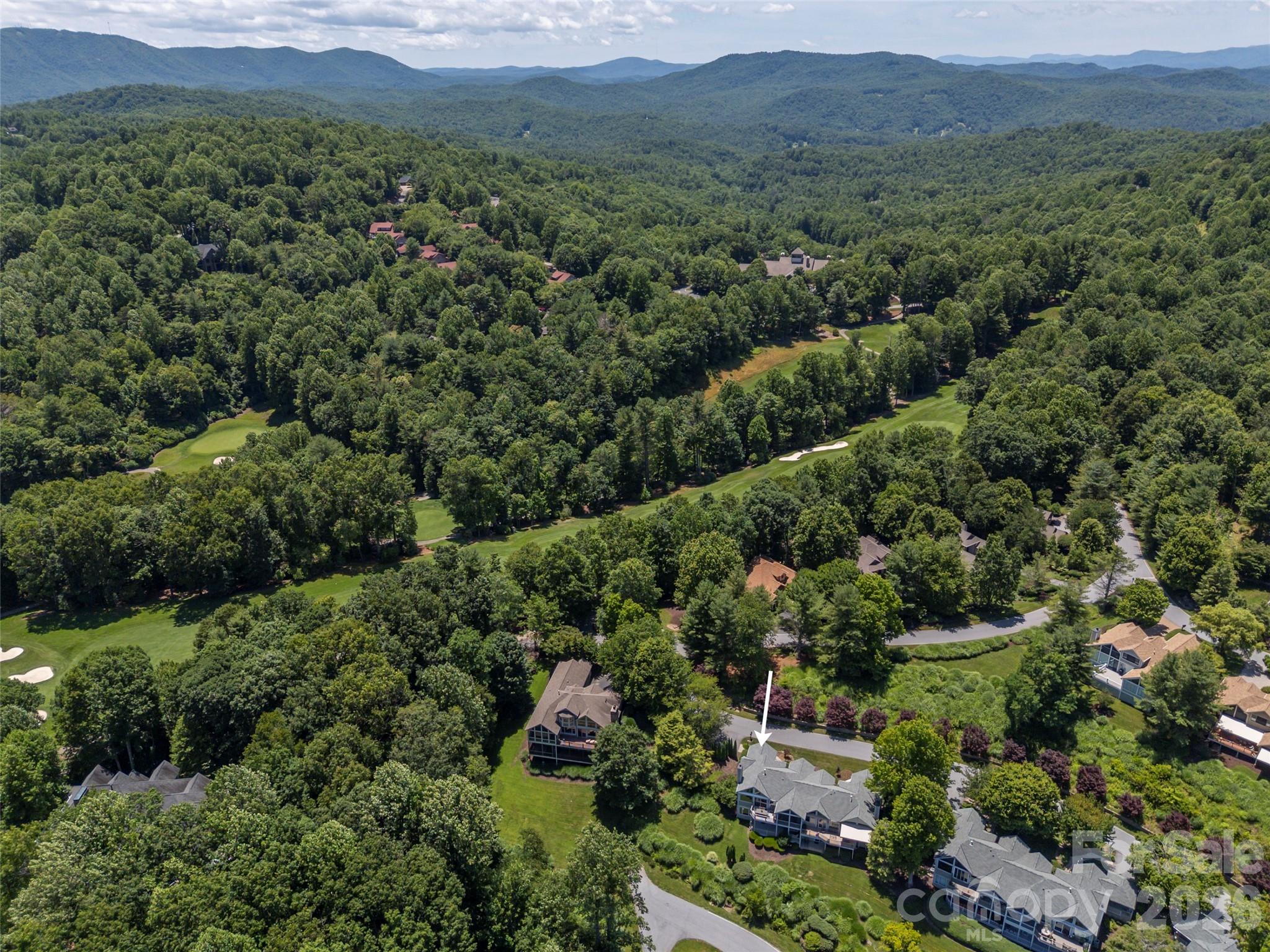 2 Meadow Ridge Lane Hendersonville, NC 28739 - Photo 48 of 48