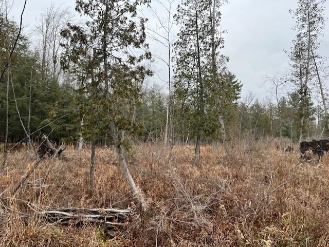 0 North Miller Road East Tawas, MI 48730 - Photo 5 of 23
