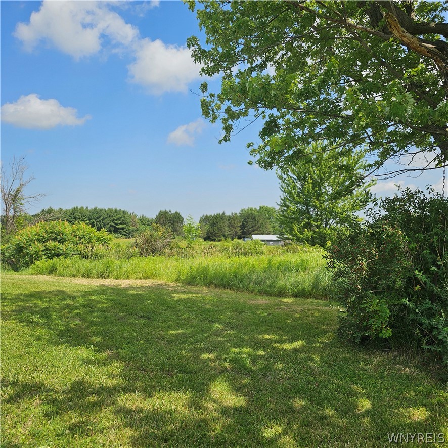 10248 Clarksburg Road North Collins, NY 14057 - Photo 35 of 35
