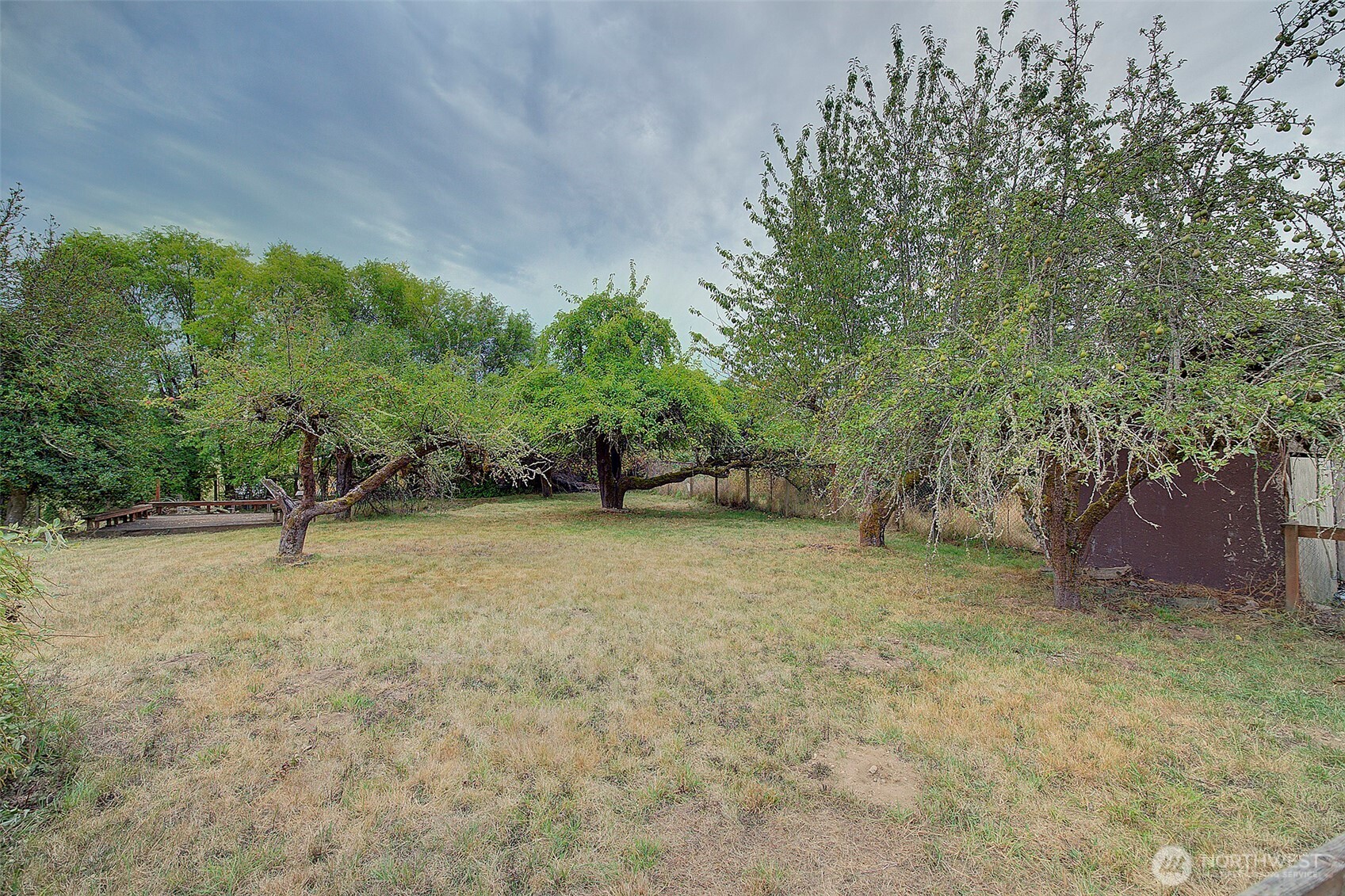31612 8th Avenue South Roy, WA 98580 - Photo 40 of 40 a view of outdoor space and yard