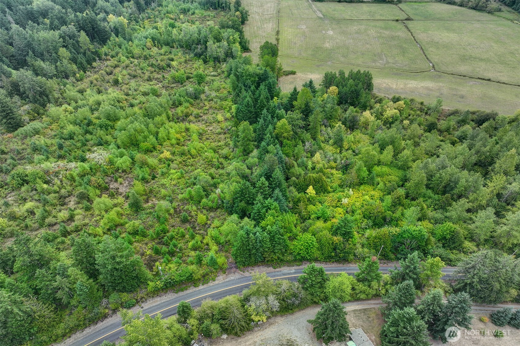 31612 8th Avenue South Roy, WA 98580 - Photo 10 of 40 a view of a yard