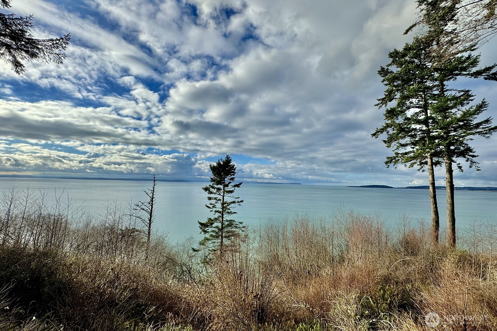-xxx Donahey Road Coupeville, WA 98239 - Photo 5 of 11 a view of a lake from a yard