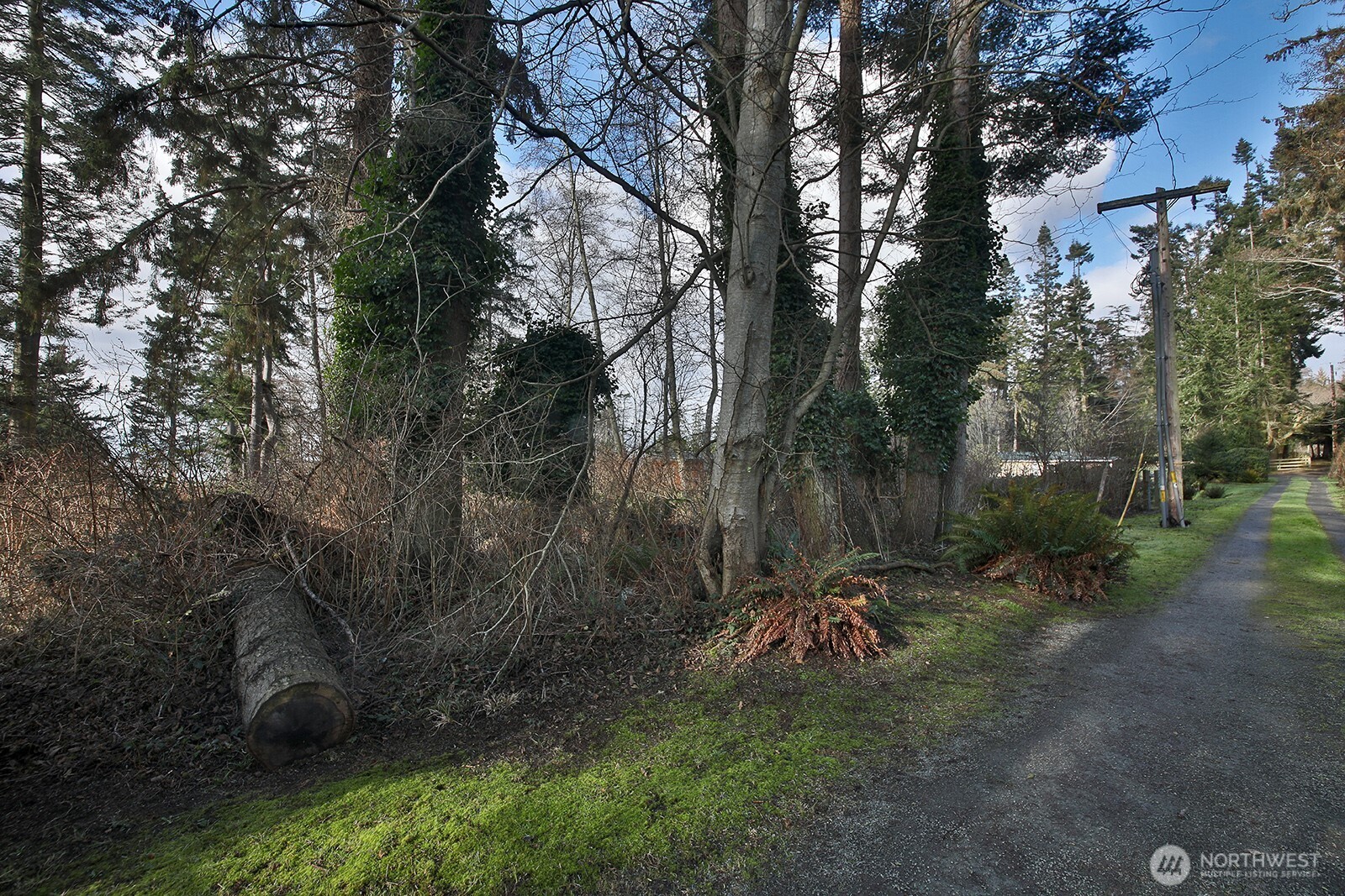 -xxx Donahey Road Coupeville, WA 98239 - Photo 7 of 11 a view of outdoor space and yard