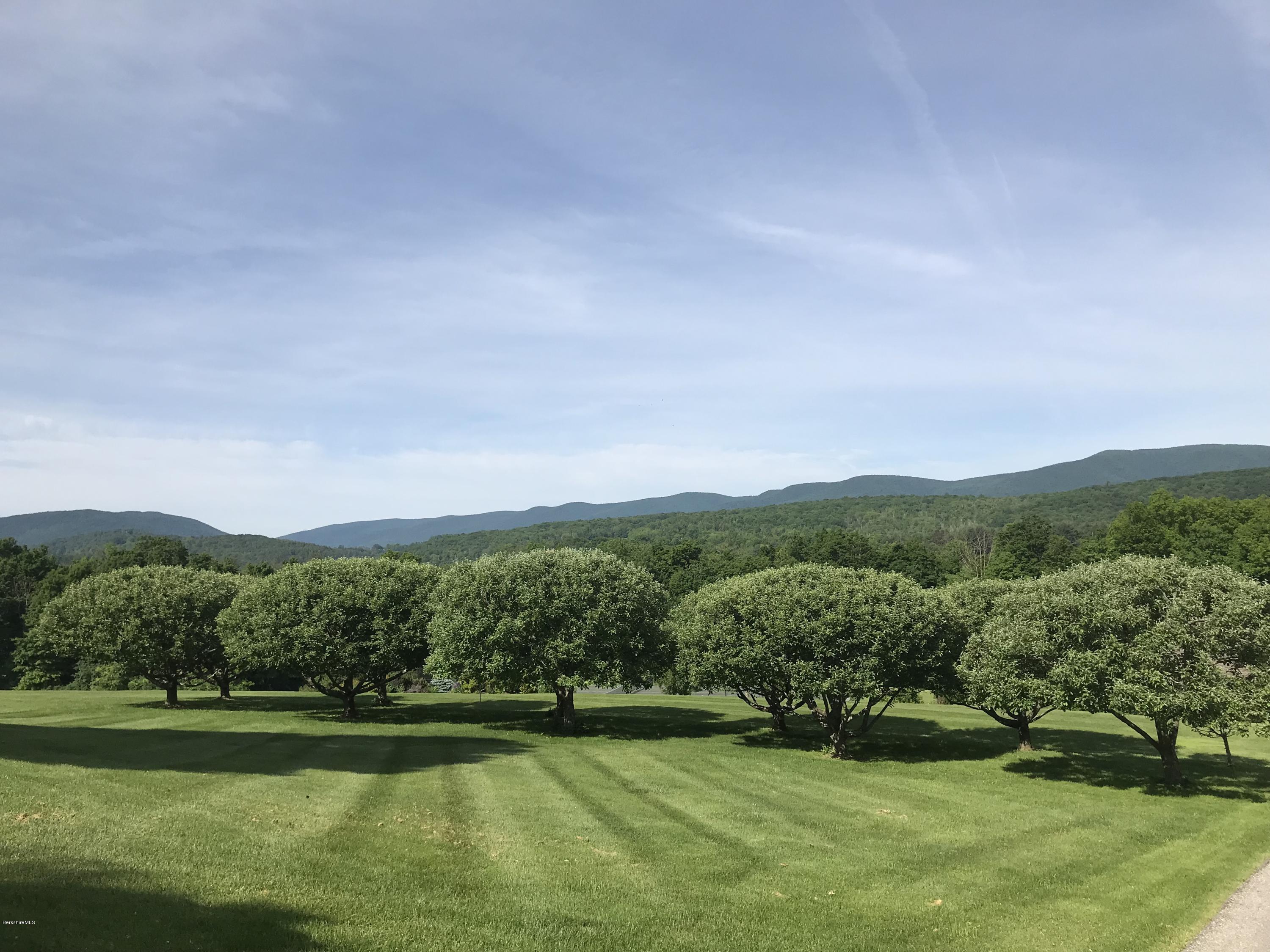465 Stratton Road Williamstown, MA 01267 - Photo 62 of 66 Fruit trees and views