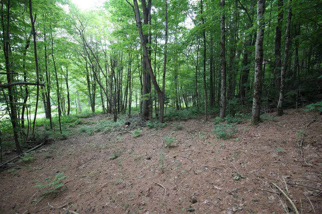 $80,000 | 360 Liberty Hill Road, Pittsfield, VT 05762