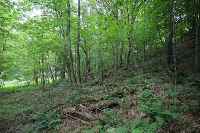 $80,000 | 360 Liberty Hill Road, Pittsfield, VT 05762