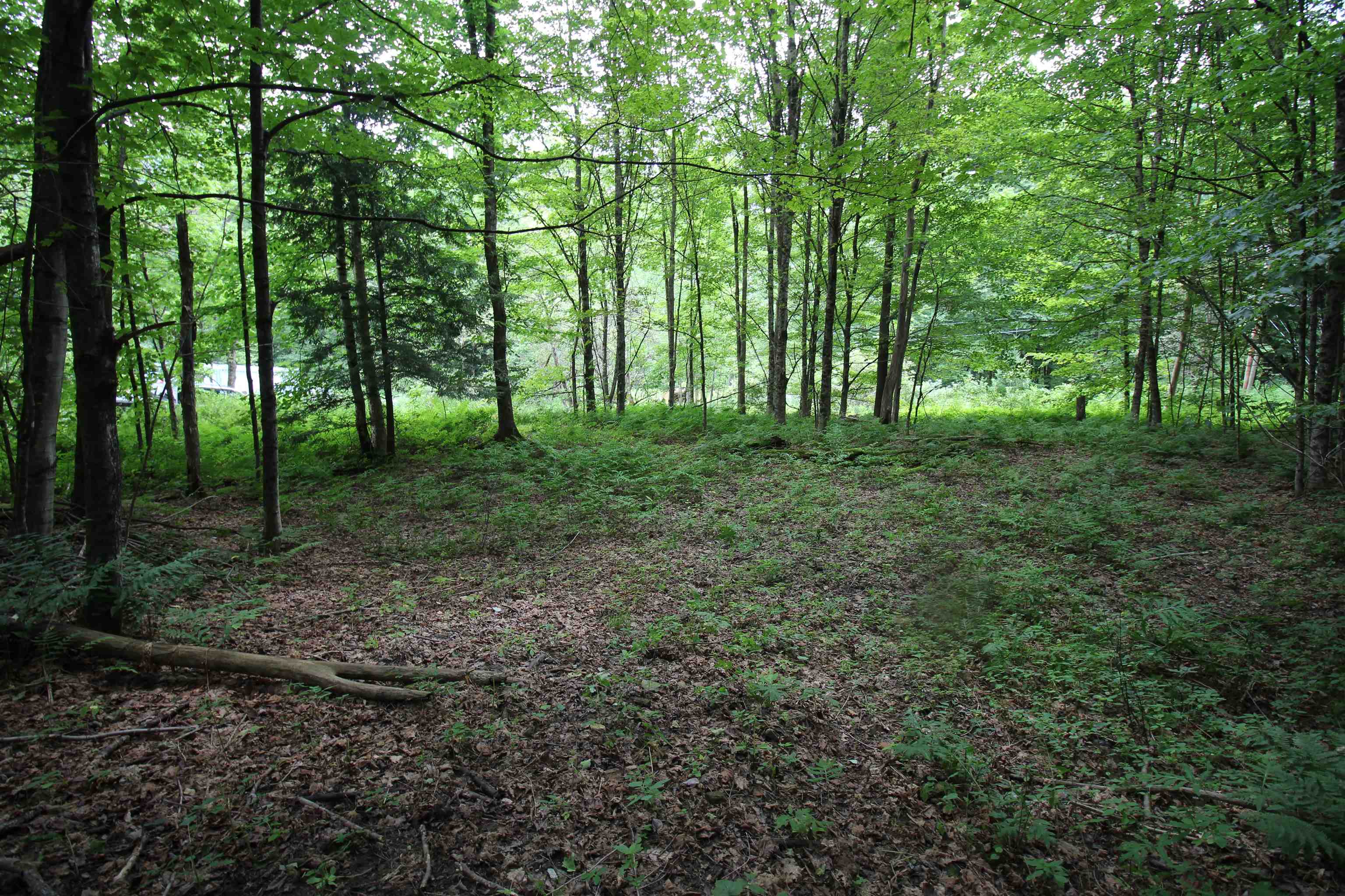 360 Liberty Hill Road Pittsfield, VT 05762 - Photo 13 of 36