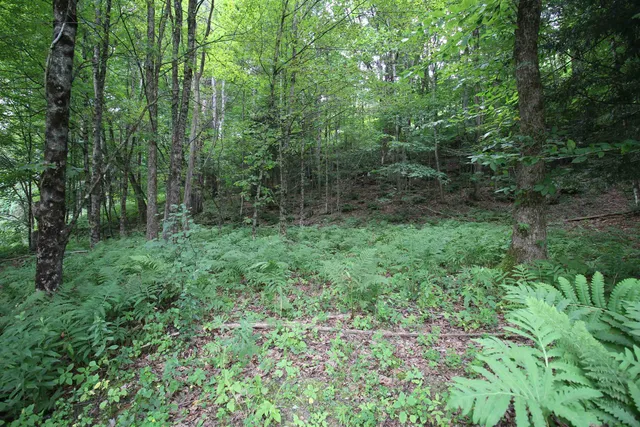 $80,000 | 360 Liberty Hill Road, Pittsfield, VT 05762