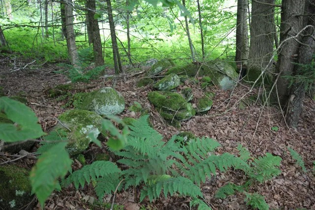 $80,000 | 360 Liberty Hill Road, Pittsfield, VT 05762