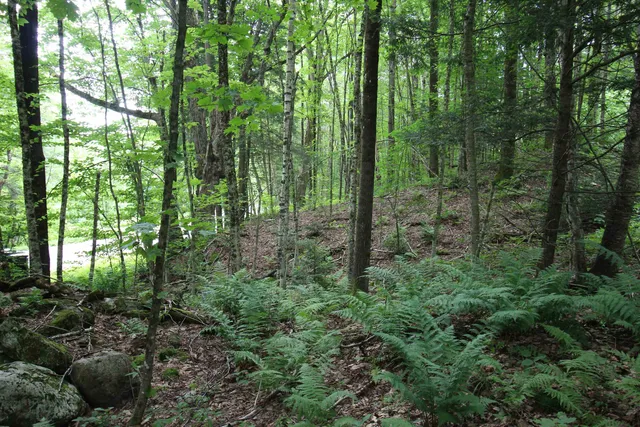 $80,000 | 360 Liberty Hill Road, Pittsfield, VT 05762