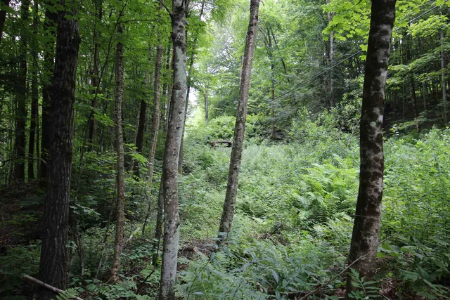 $80,000 | 360 Liberty Hill Road, Pittsfield, VT 05762