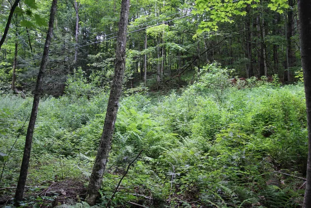 $80,000 | 360 Liberty Hill Road, Pittsfield, VT 05762