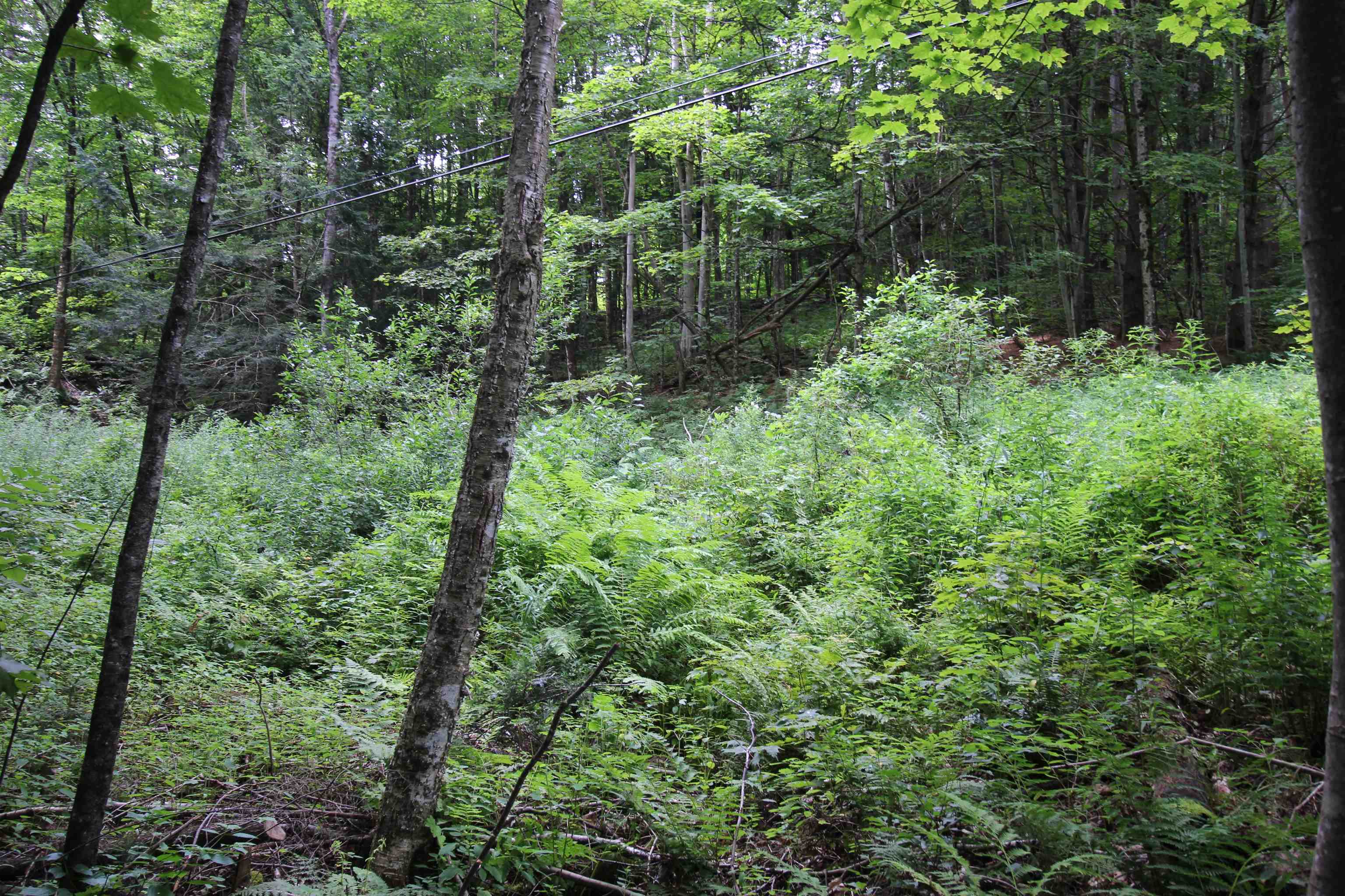 360 Liberty Hill Road Pittsfield, VT 05762 - Photo 18 of 36