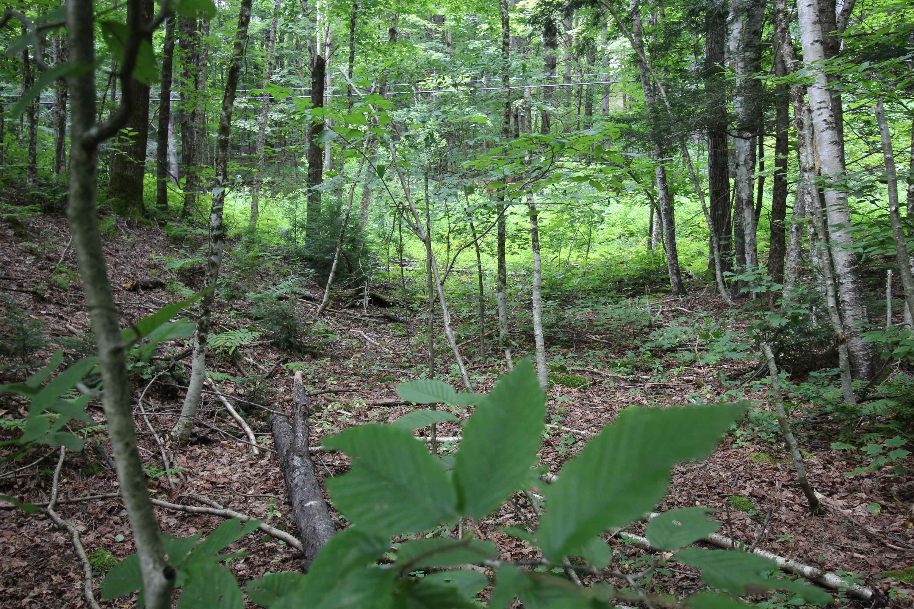 360 Liberty Hill Road Pittsfield, VT 05762 - Photo 19 of 36