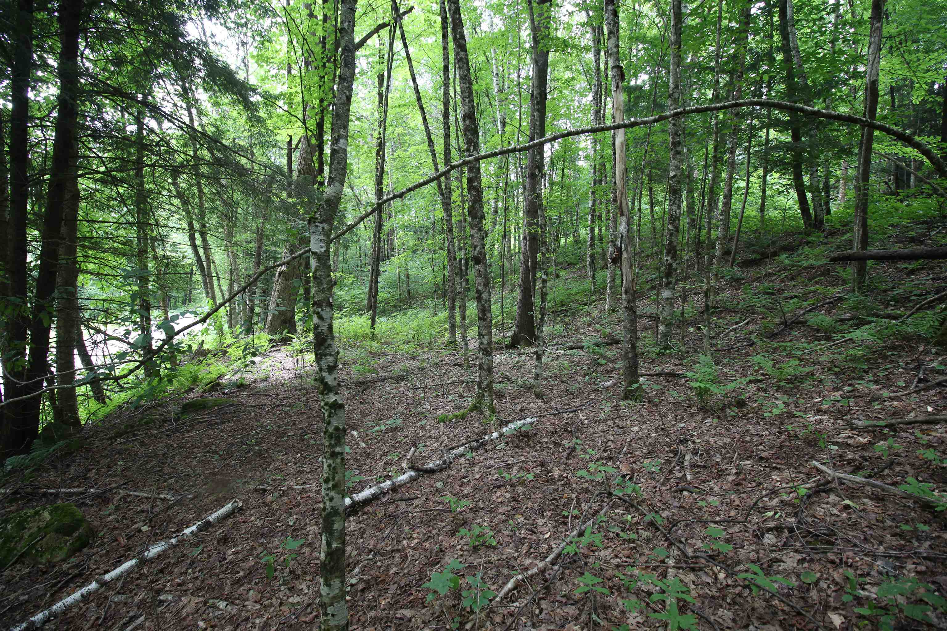 360 Liberty Hill Road Pittsfield, VT 05762 - Photo 20 of 36