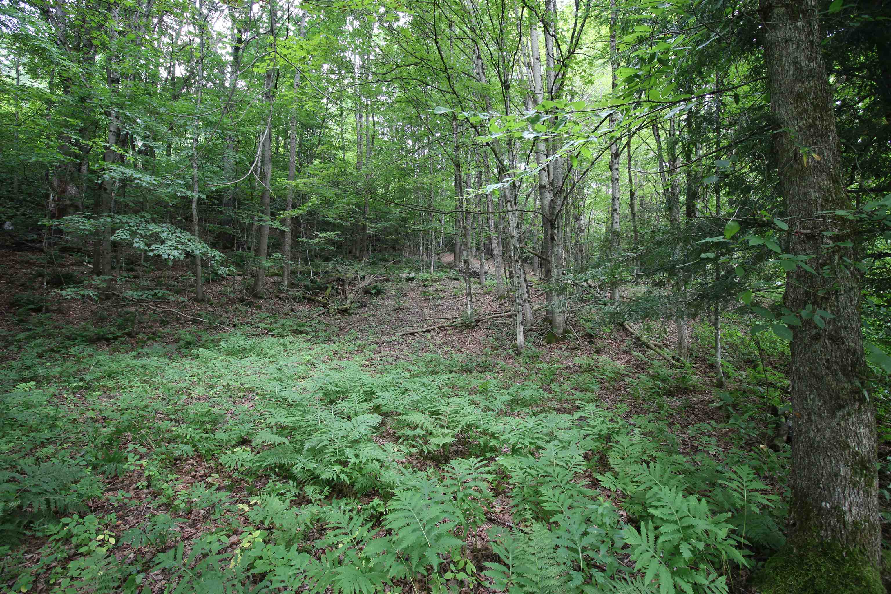 360 Liberty Hill Road Pittsfield, VT 05762 - Photo 2 of 36