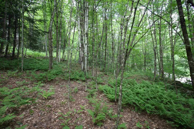 $80,000 | 360 Liberty Hill Road, Pittsfield, VT 05762