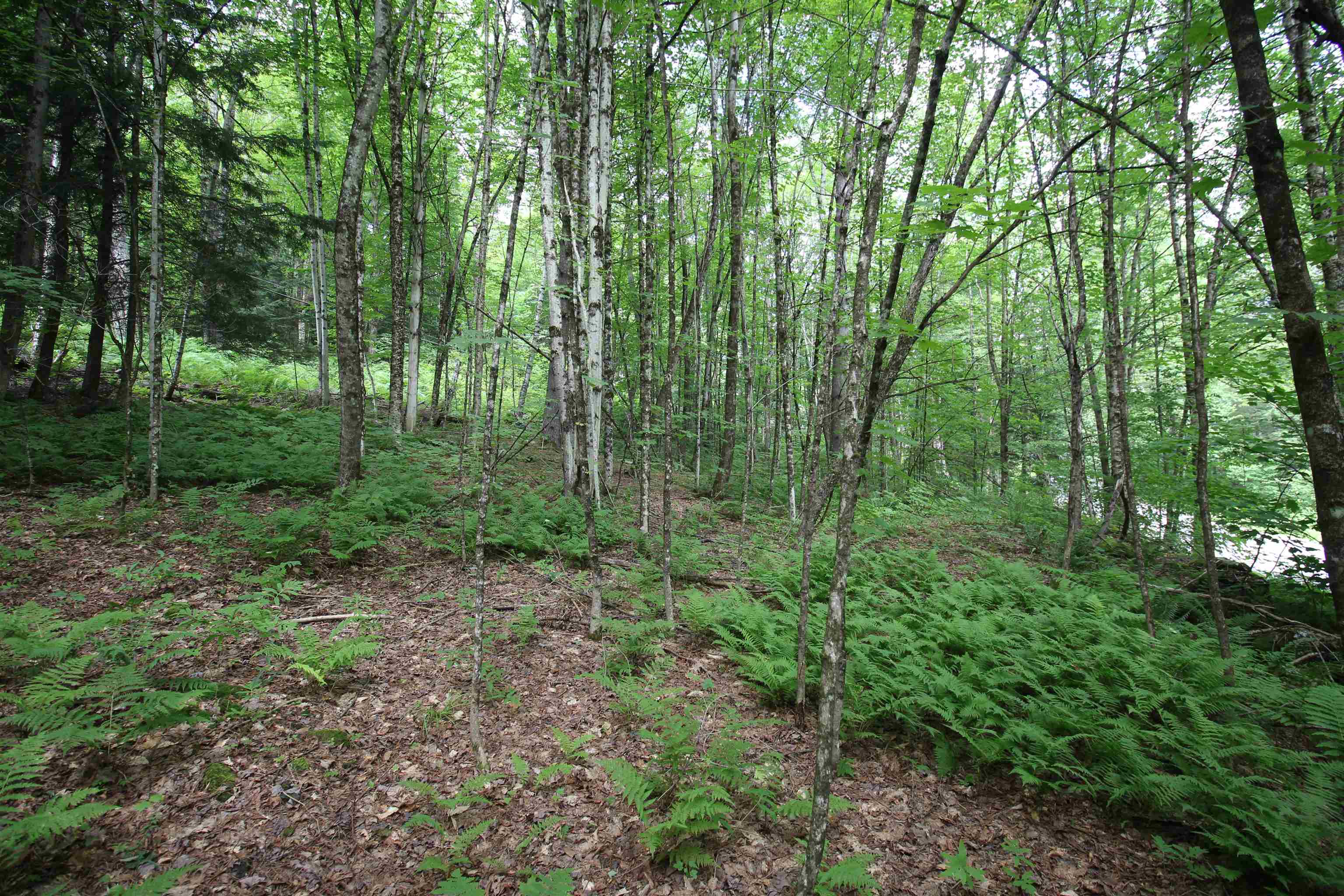 360 Liberty Hill Road Pittsfield, VT 05762 - Photo 22 of 36
