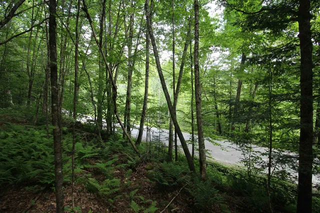 $80,000 | 360 Liberty Hill Road, Pittsfield, VT 05762