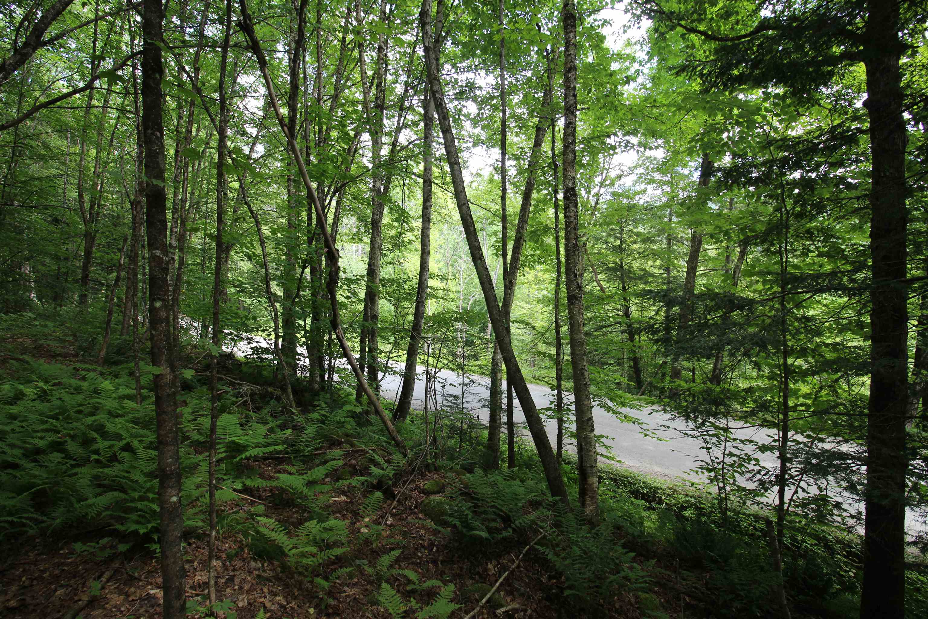 360 Liberty Hill Road Pittsfield, VT 05762 - Photo 23 of 36