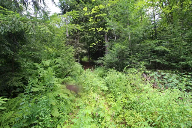 $80,000 | 360 Liberty Hill Road, Pittsfield, VT 05762