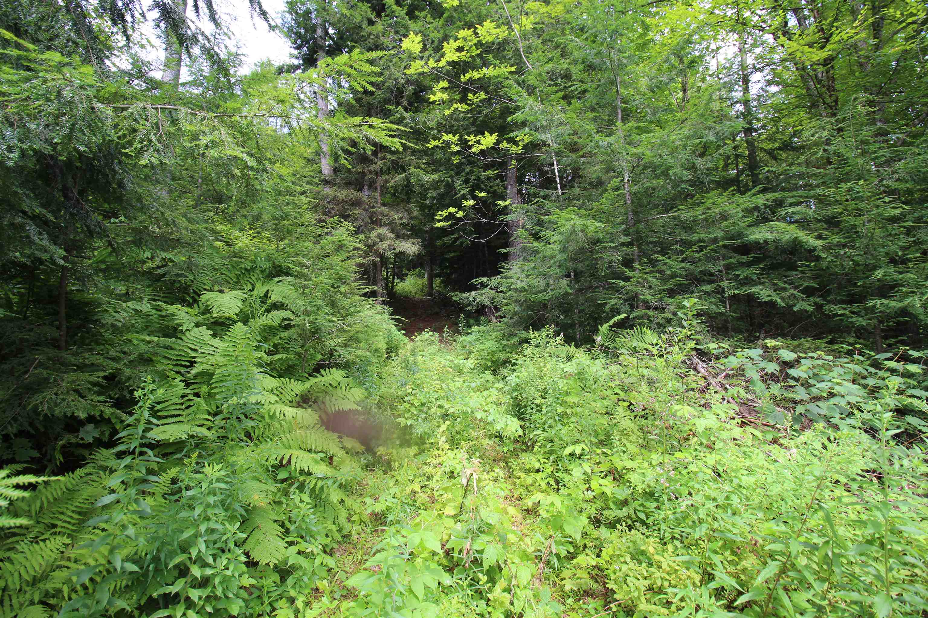 360 Liberty Hill Road Pittsfield, VT 05762 - Photo 24 of 36