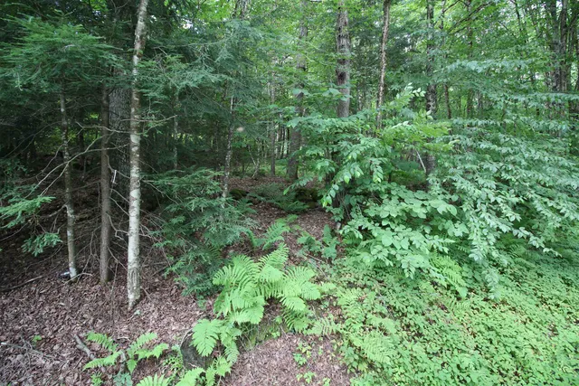 $80,000 | 360 Liberty Hill Road, Pittsfield, VT 05762