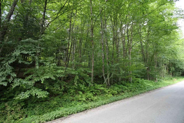 $80,000 | 360 Liberty Hill Road, Pittsfield, VT 05762