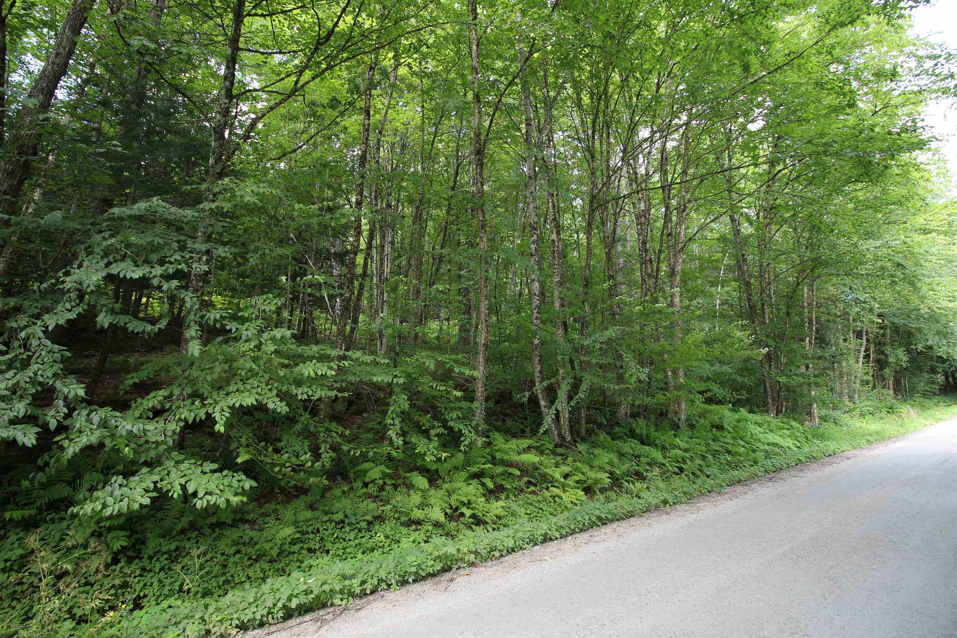 360 Liberty Hill Road Pittsfield, VT 05762 - Photo 27 of 36