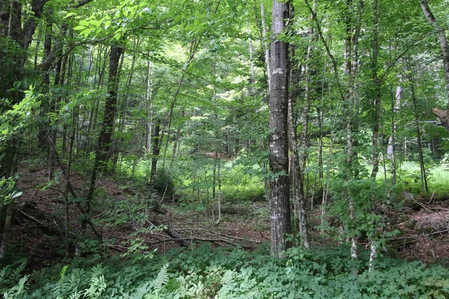 $80,000 | 360 Liberty Hill Road, Pittsfield, VT 05762