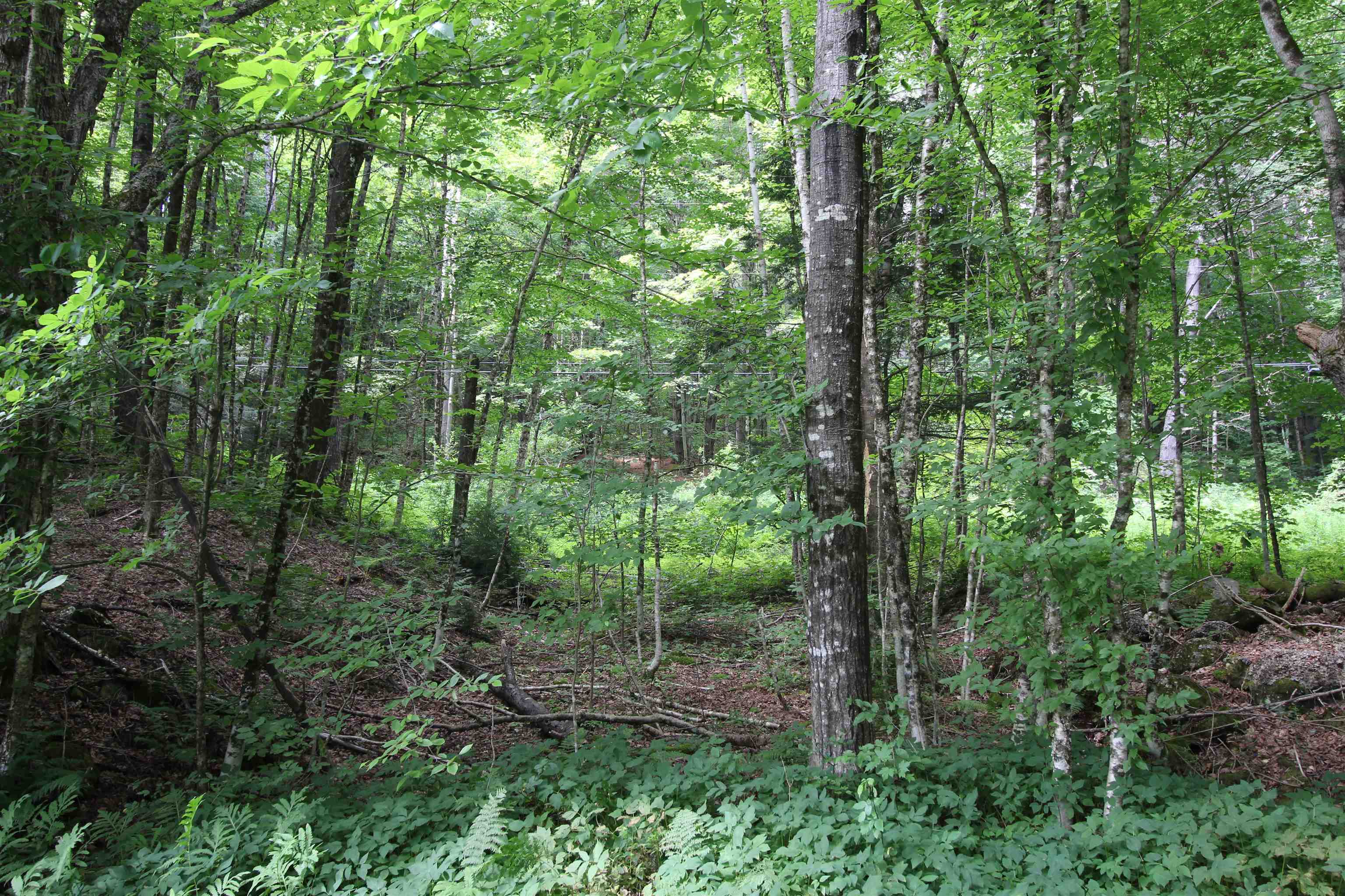 360 Liberty Hill Road Pittsfield, VT 05762 - Photo 28 of 36