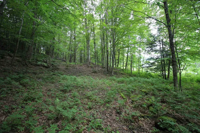 $80,000 | 360 Liberty Hill Road, Pittsfield, VT 05762